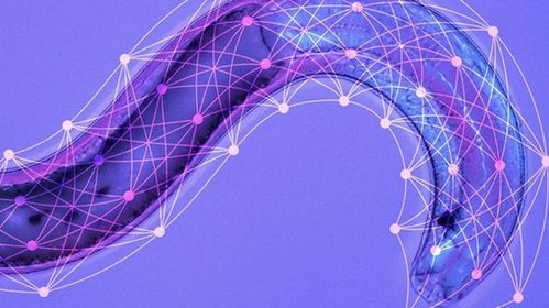 神經網絡技術 電子產品世界的智能革命